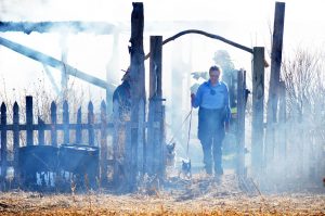 Two dogs are removed from a property that incurred heavy damage from fire Feb. 7 in the 800 block of Eggleston Street near Waverly in unincorporated Larimer County.  Wellington fire and several other agencies responded.