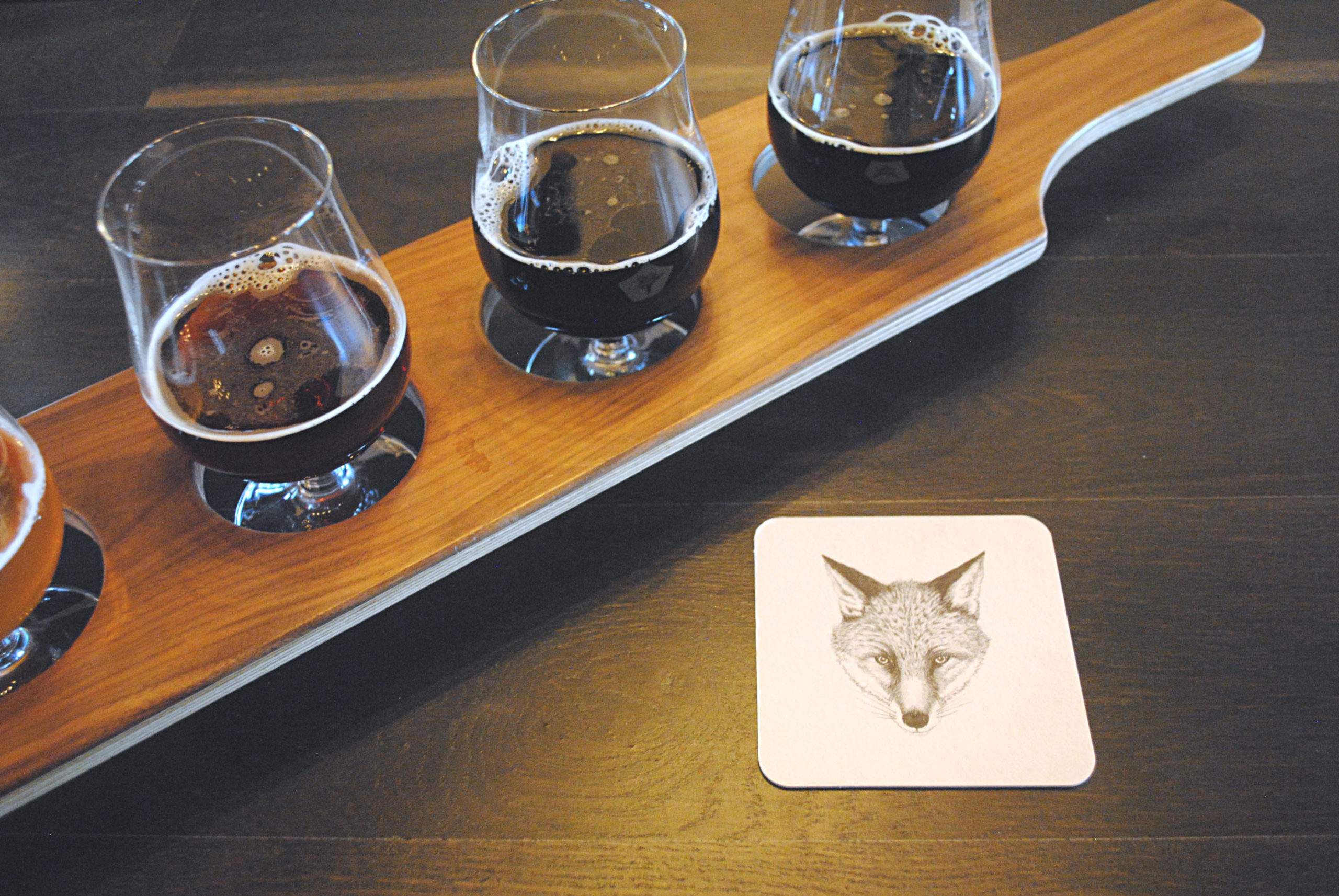 New Year, New Beer! A peek inside Ft. Collins’ latest addition to the brewery scene