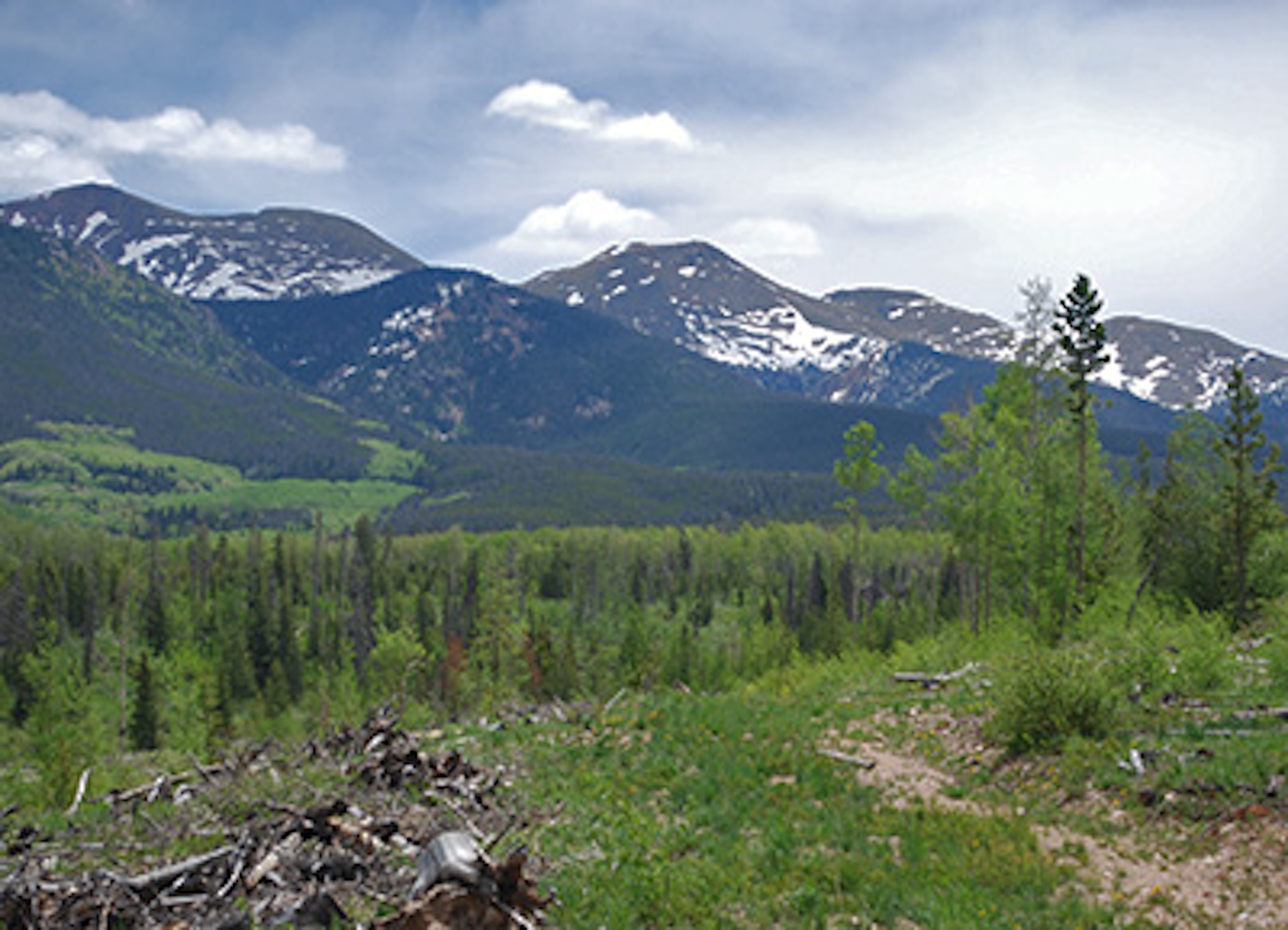 Colorado State Forest firewood sale offers low-cost wood, reduces fire risk
