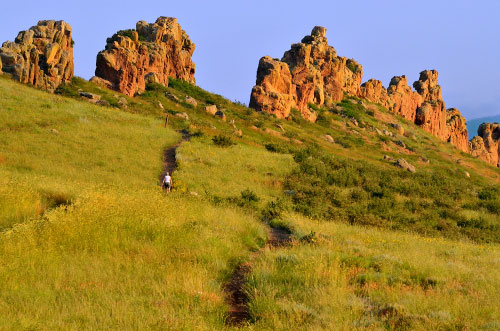 On Sunday, January 20, 4:30 p.m. – 6:30 p.m. is the “Full Moon Hike: Eclipse and Owls.” Larimer County naturalists host a moonlit walk at Devil’s Backbone Open Space. 