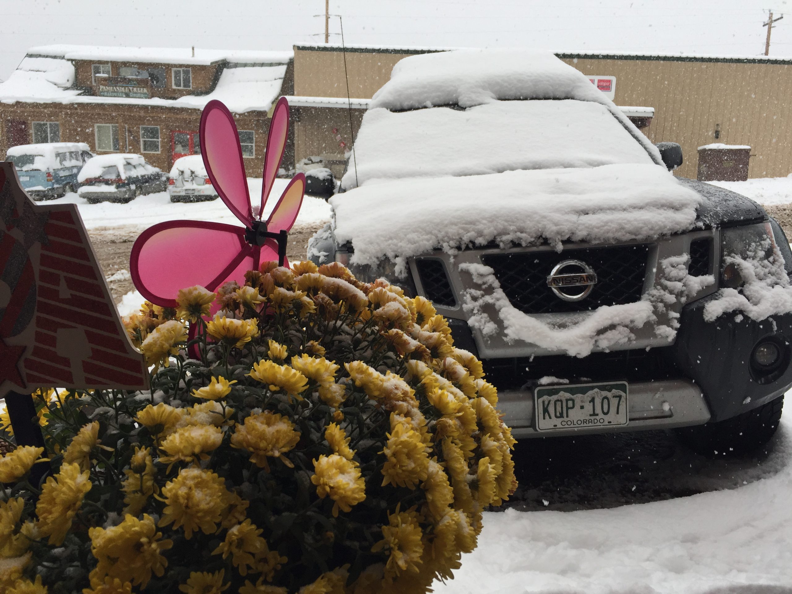 Snow blankets the west side of Larimer county