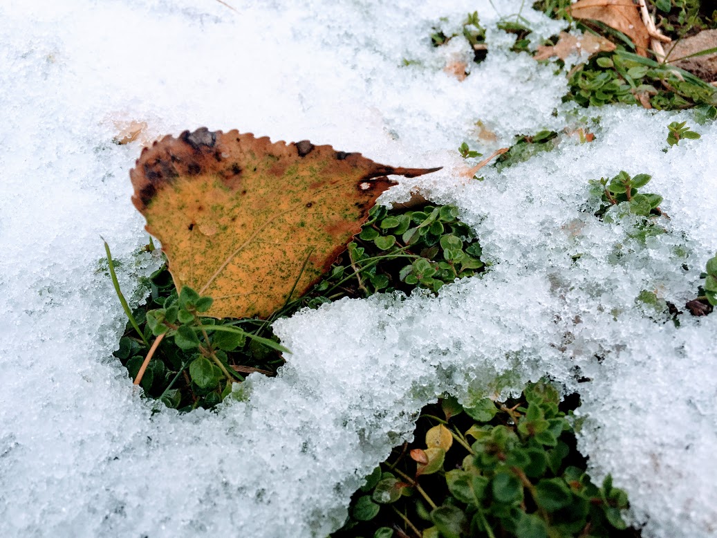 Fall snow covers Northern Colorado with first significant seasonal accumulation