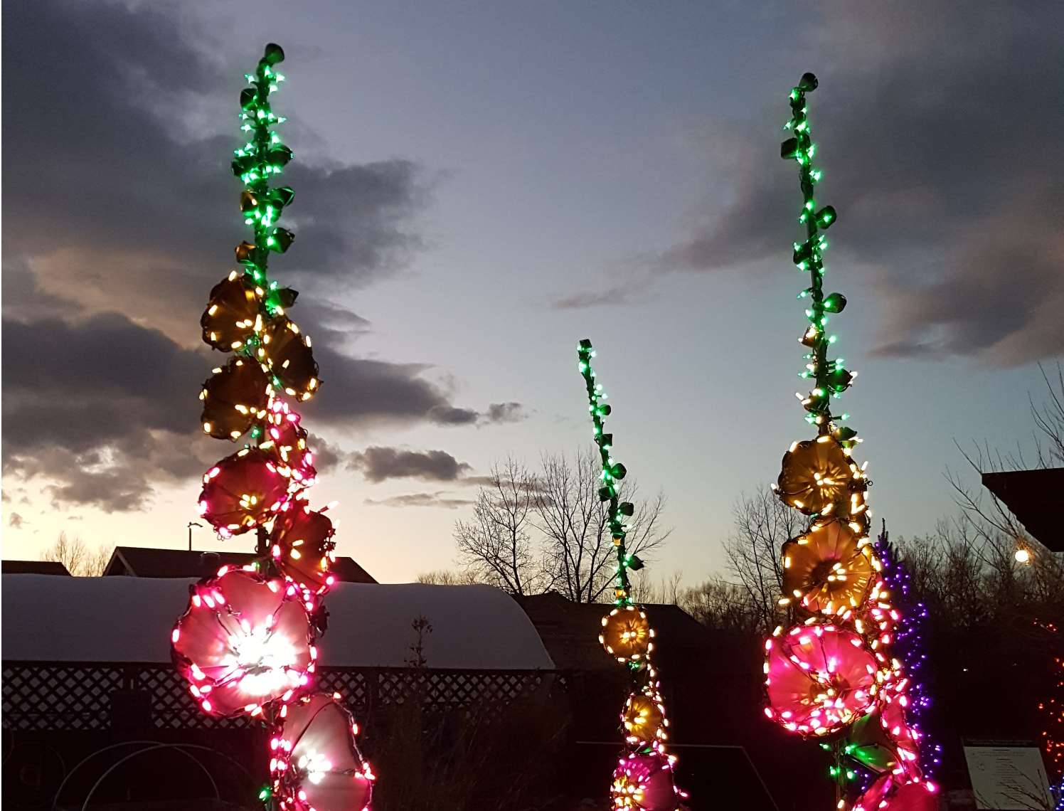 Towering custom-welded hollyhocks highlight Garden of Lights