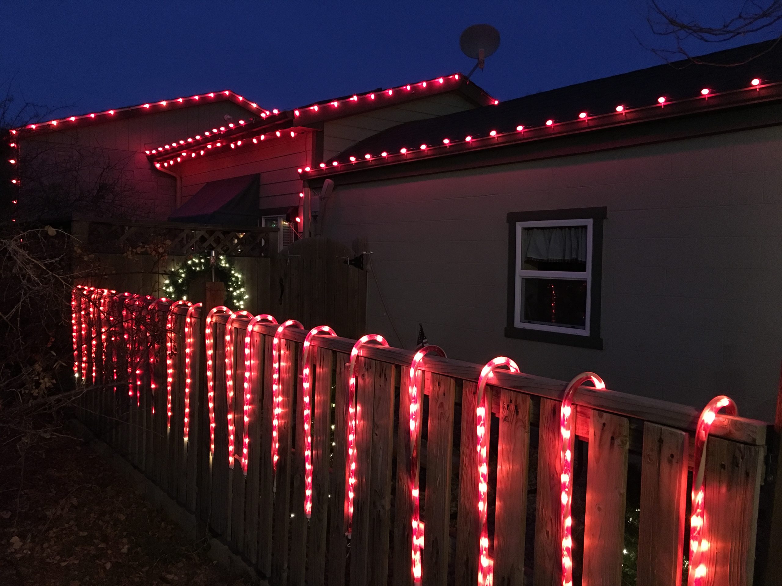 Wellington’s Parade of Lights Opens the Season