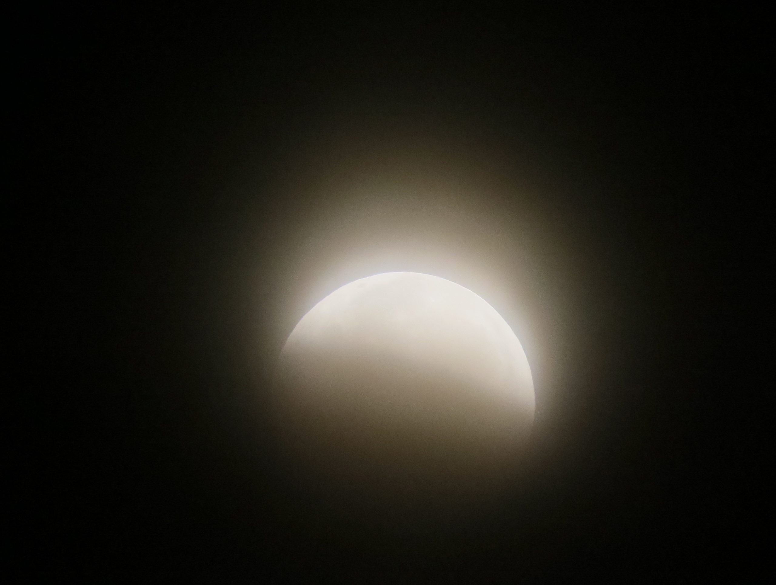 Total lunar eclipse the morning of January 31!