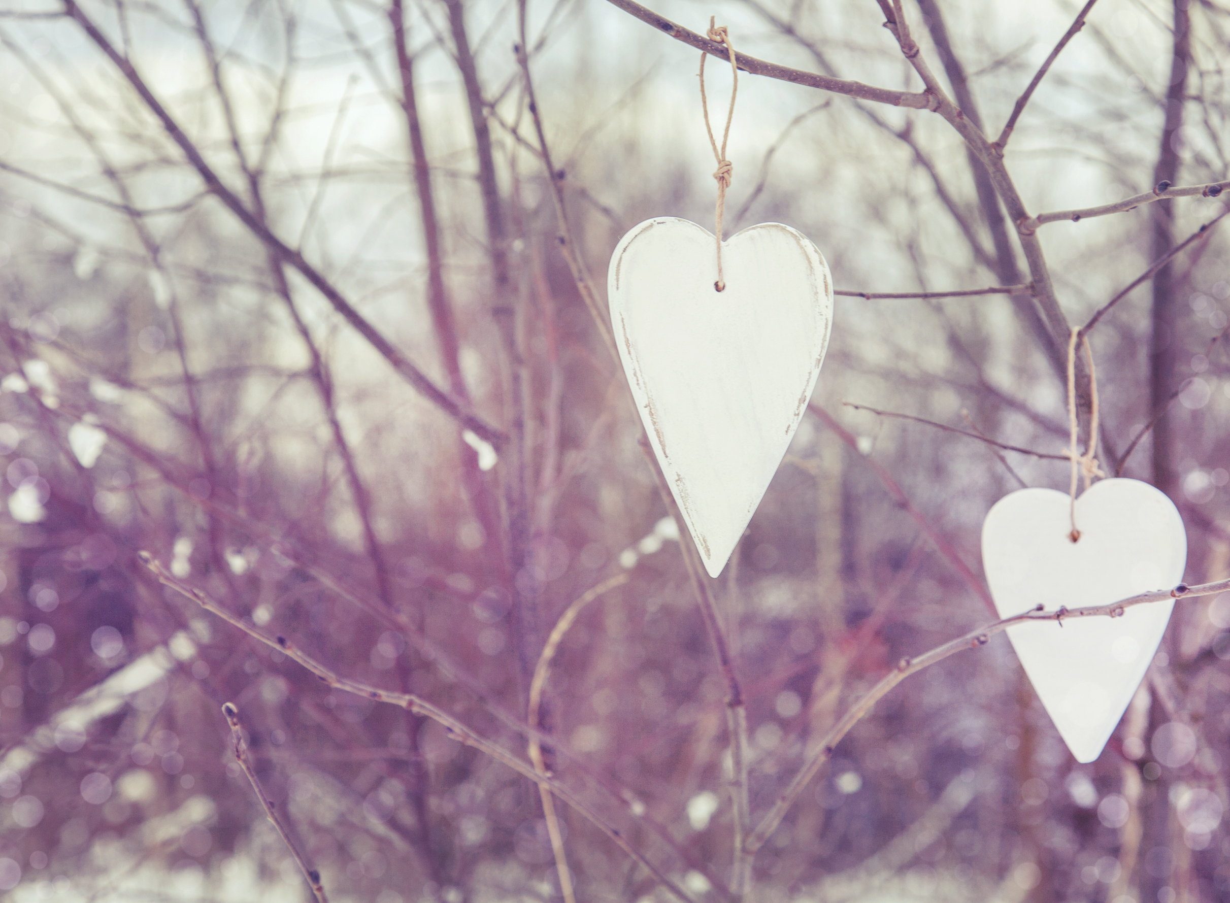 One hopeful heart