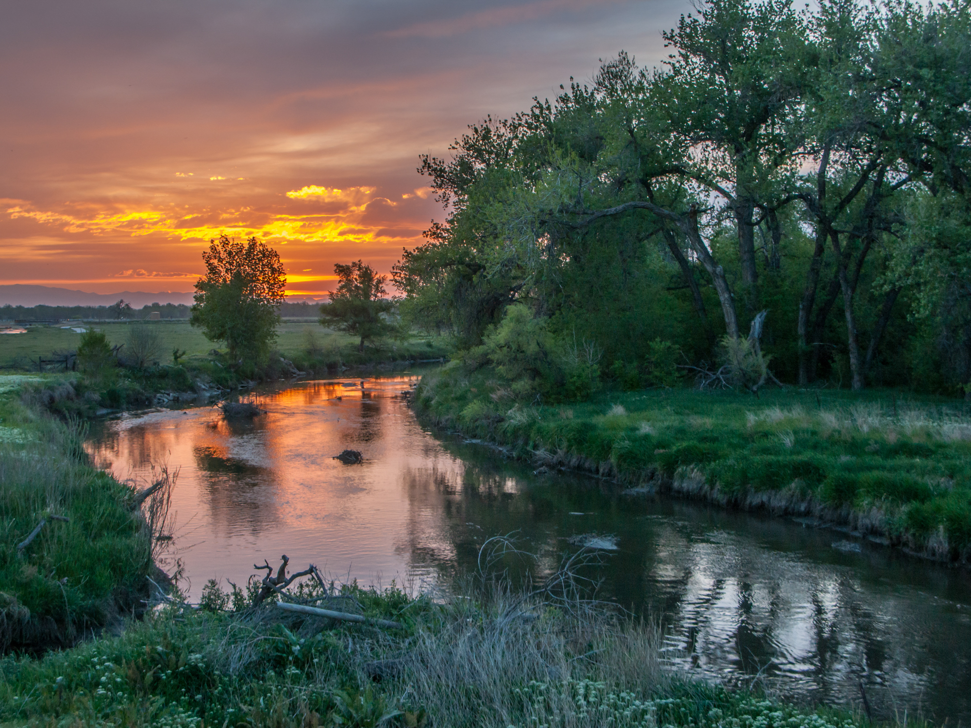 The Poudre Picture A Healthy Working River