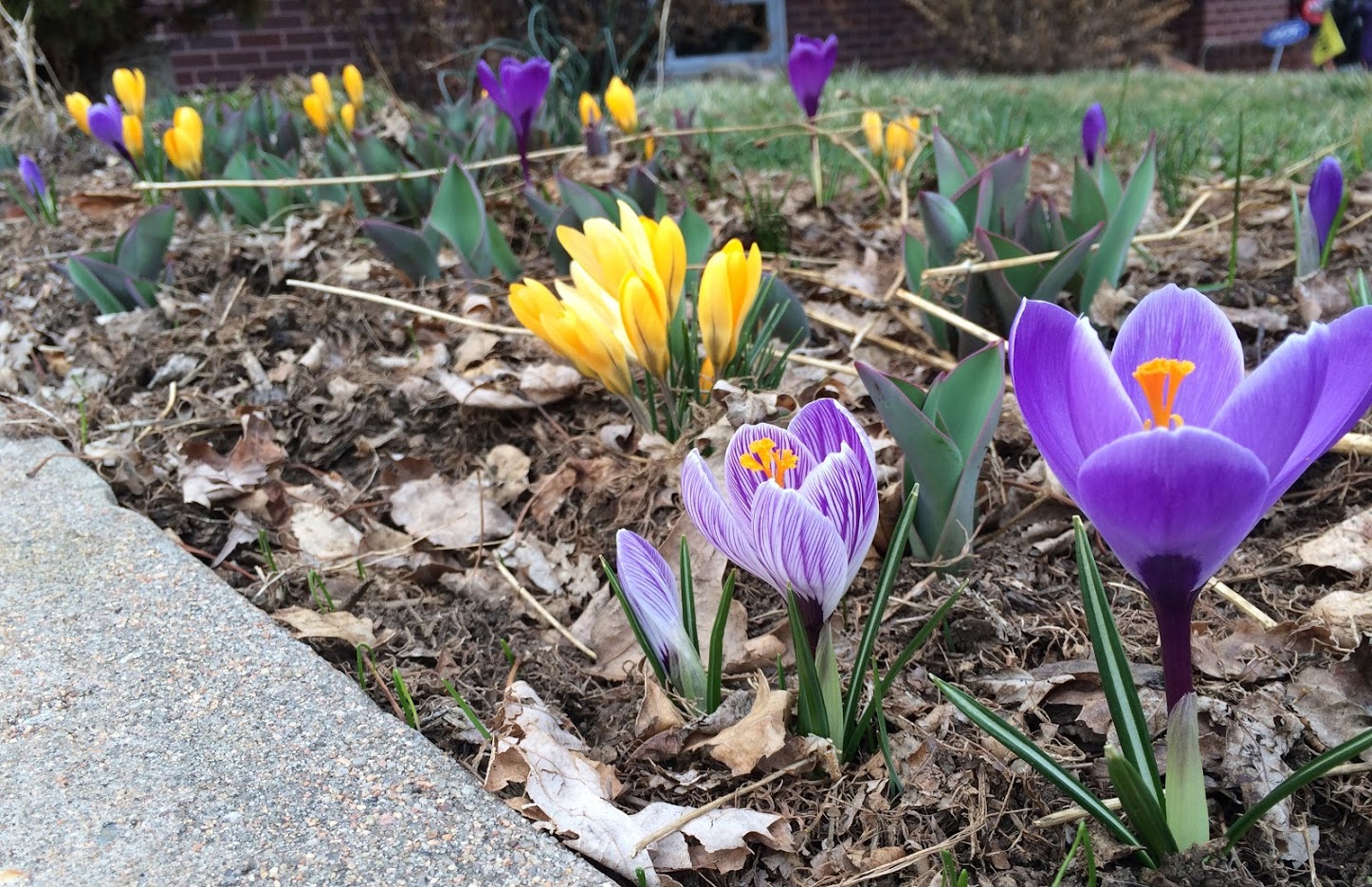 Warm, Windy Weekend Before Sharp Sunday Cooldown
