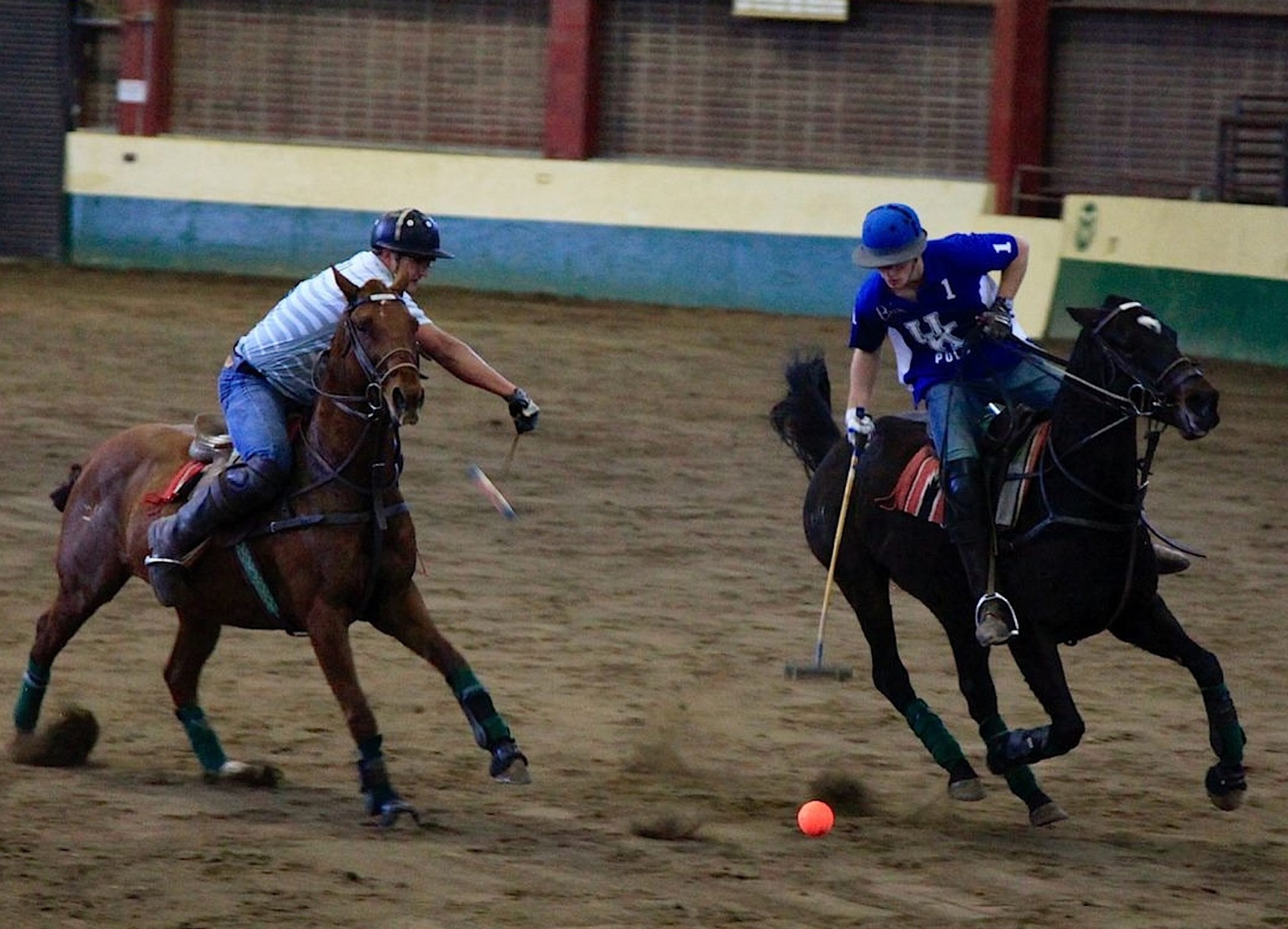 Thundering hooves, flying mallets—it’s polo at CSU!