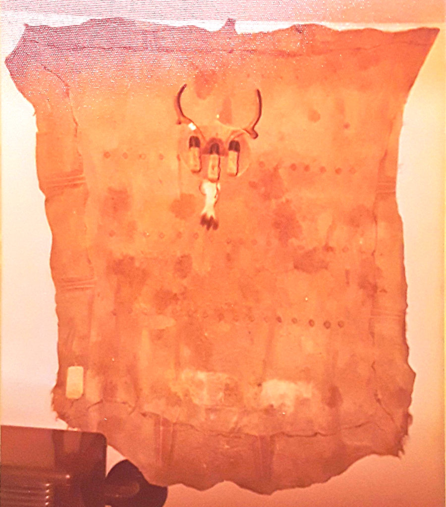 Gift of buffalo robe connects past and present