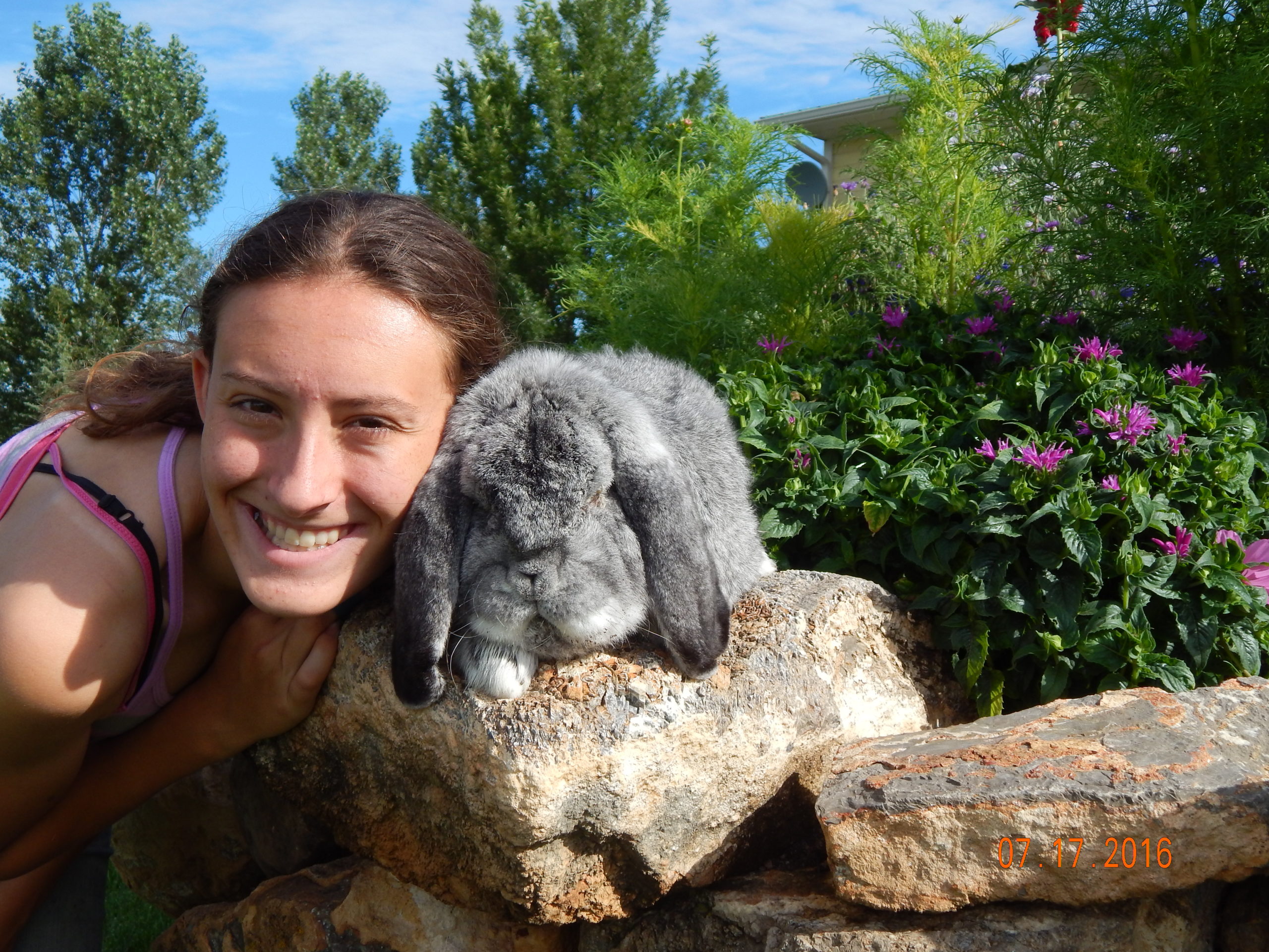 Doing the Bunny Hop to success