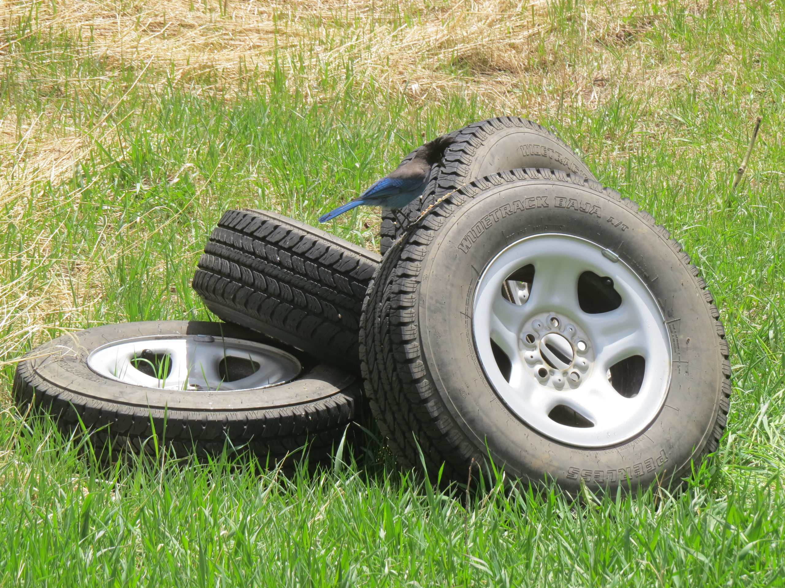 Gearhead Diary: Avoid controversial subjects by talkin’ tires