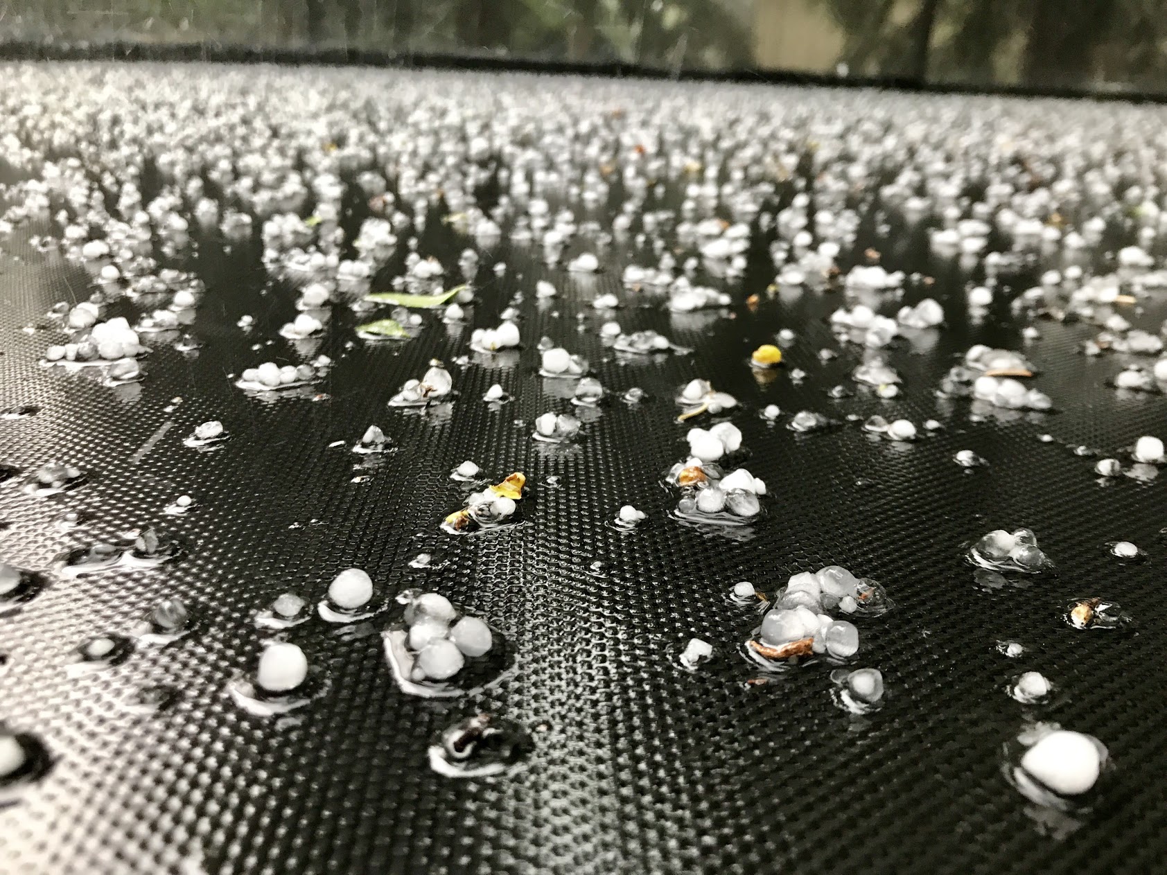 Hail Yes, You May Have Roof Damage