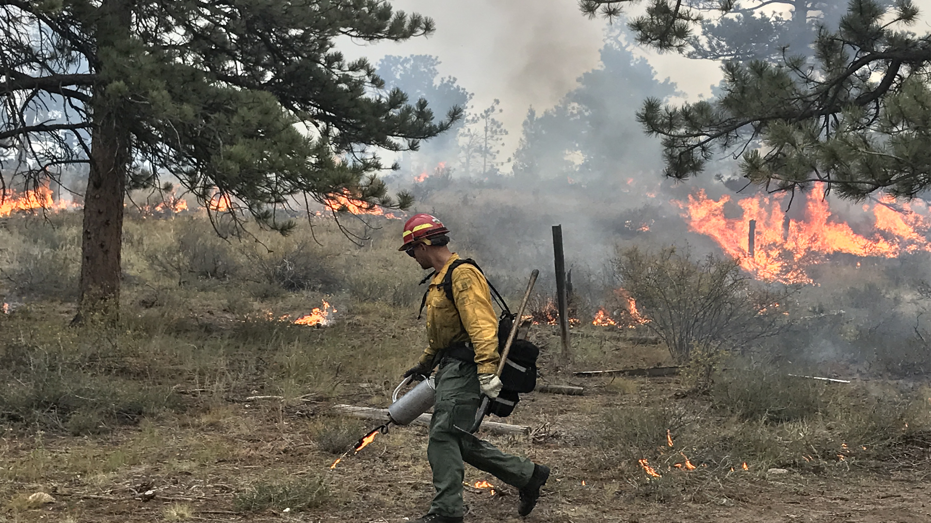 Living in a Wildfire Prone Landscape