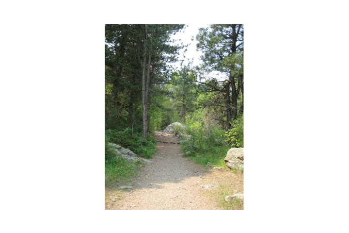 Volunteers Needed for work on Young Gulch Trail