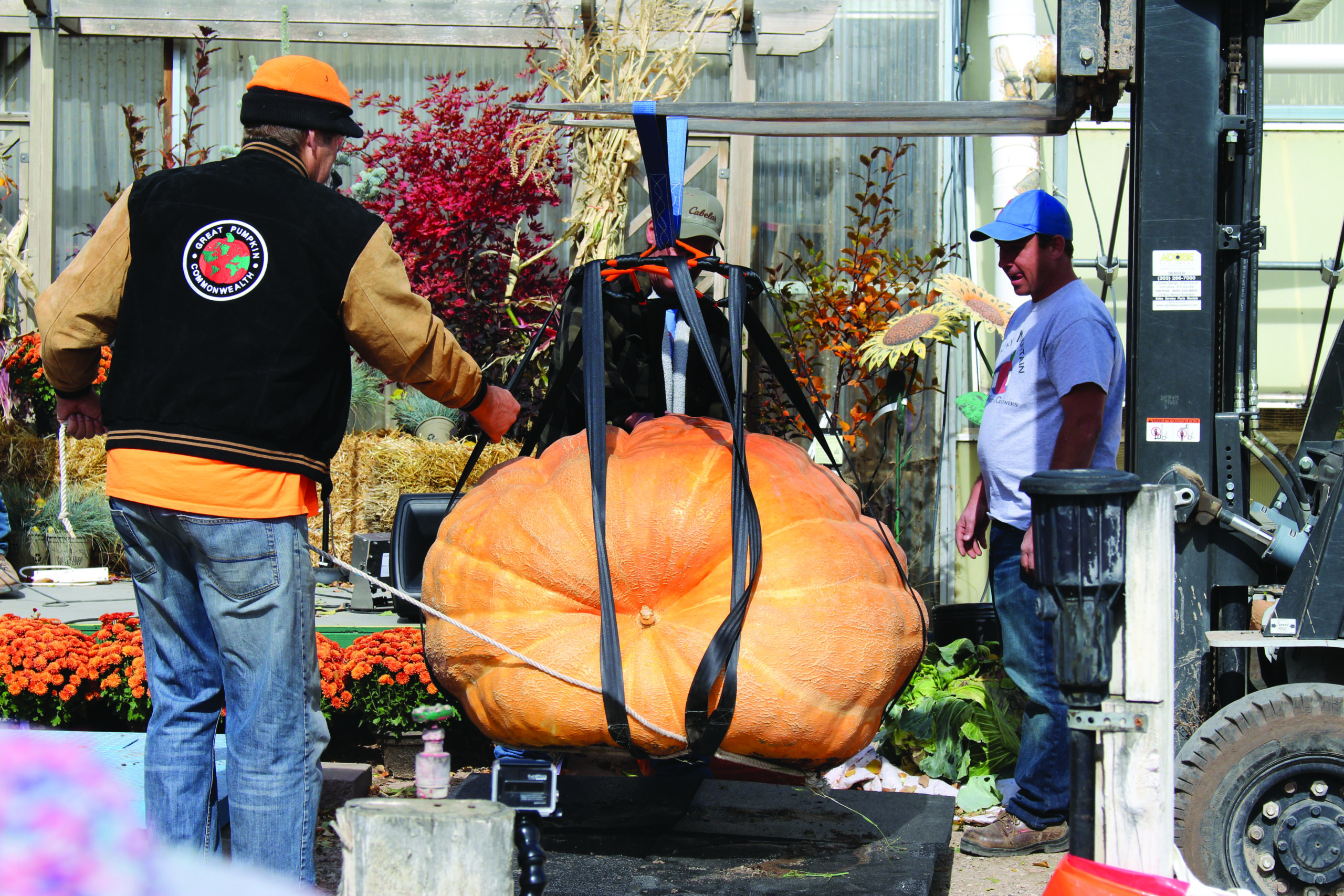 Big Time Fun at Fort Collins Nursery’s Giant Pumpkin Contest