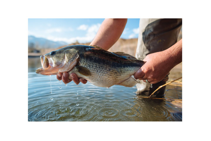 Join Colorado Parks and Wildlife in Celebrating National Hunting and Fishing Day