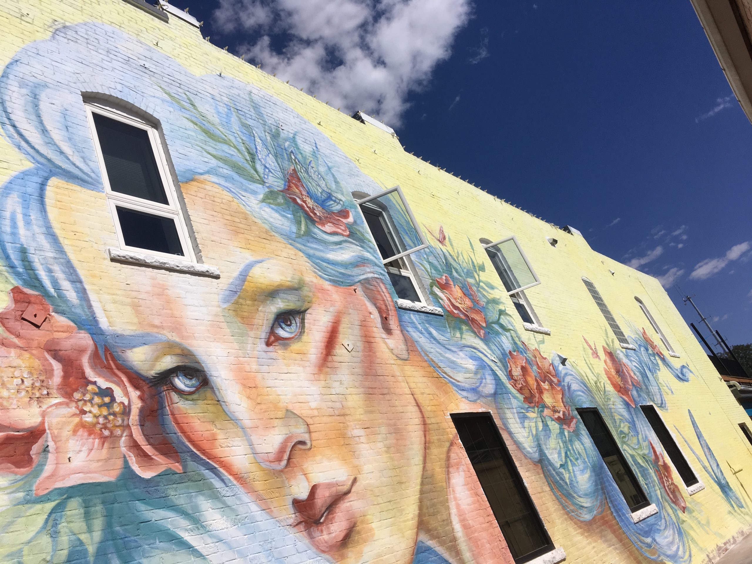 Loveland artist gives new life to old buildings