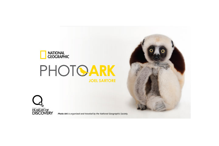 ‘National Geographic Photo Ark’ Exhibition to Open October 20 at Fort Collins Museum of Discovery