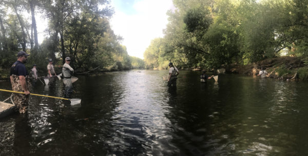 CPW solicits public for information on major fish kill in Fort Collins