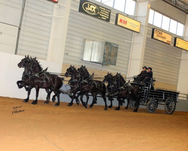 The Big Thunder Draft Horse Show pulls into The Ranch Events complex in Loveland, Jan. 18-20