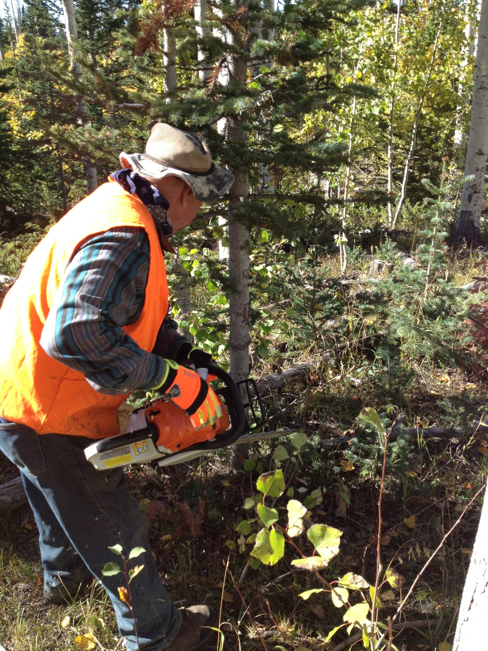 Chainsaw Safety Training As Fire Season Begins