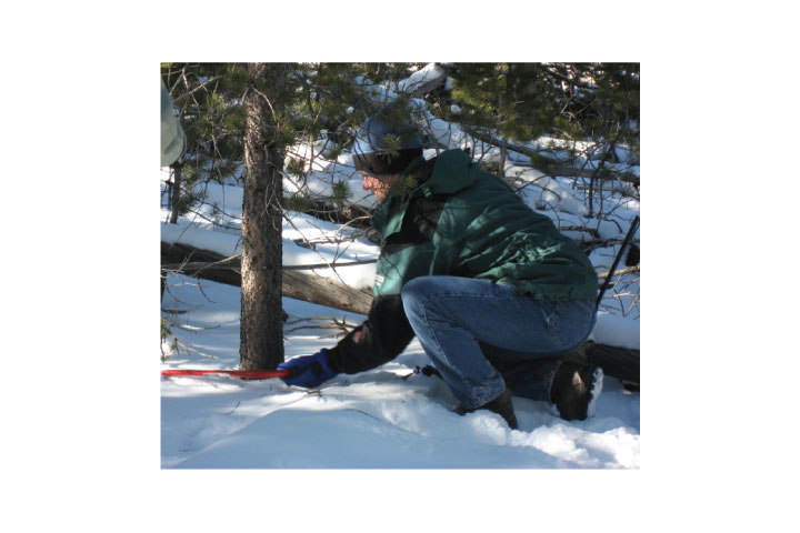 Cut-your-own Christmas tree season kicks off in Grand County