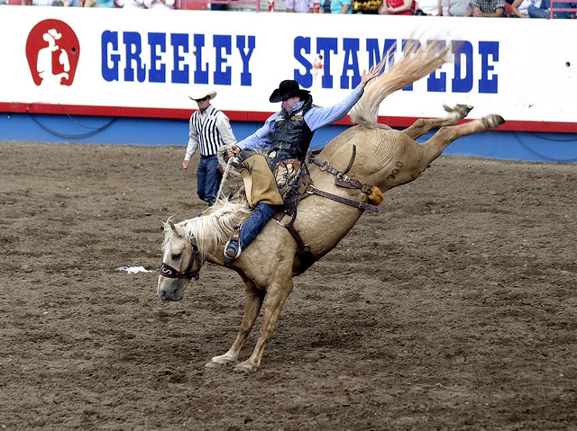 Bartender Job Fair For 2021 Greeley Stampede