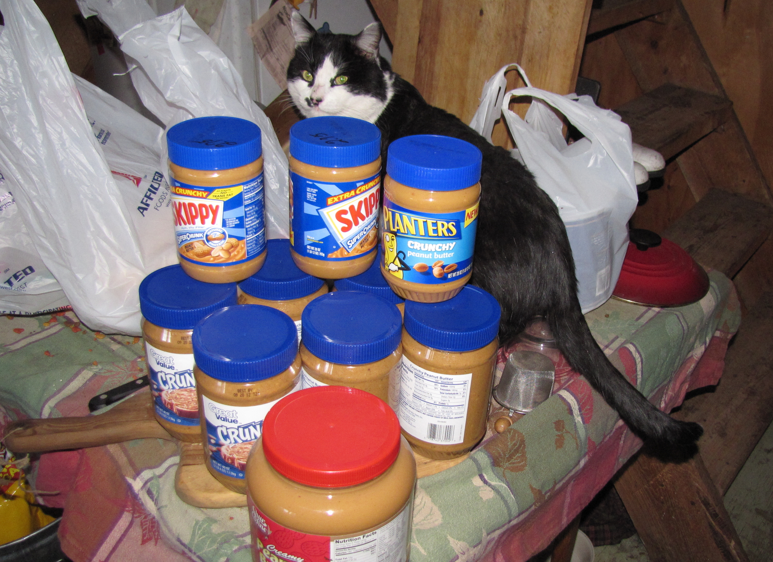 NATURE RAMBLINGS: A giant jar of peanut butter