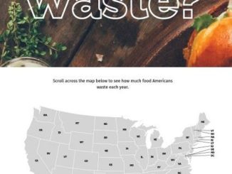 Guilty of food waste? Coloradan households waste over $800 worth of food each year, reveals study.