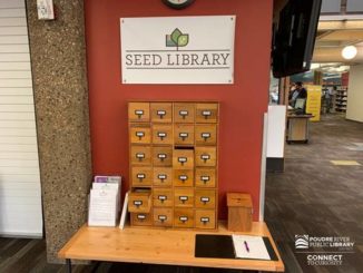 New Seed Library at Old Town Library Encourages Community Participation in Sustainable Gardening, Home-Grown Food