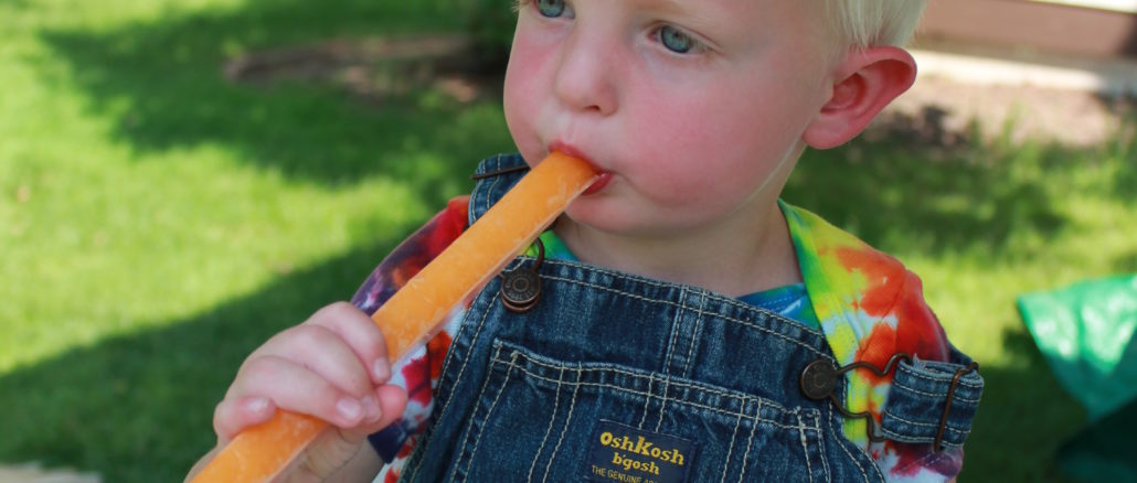 Pet’s ‘N’ Popsicles at Centennial Village Museum