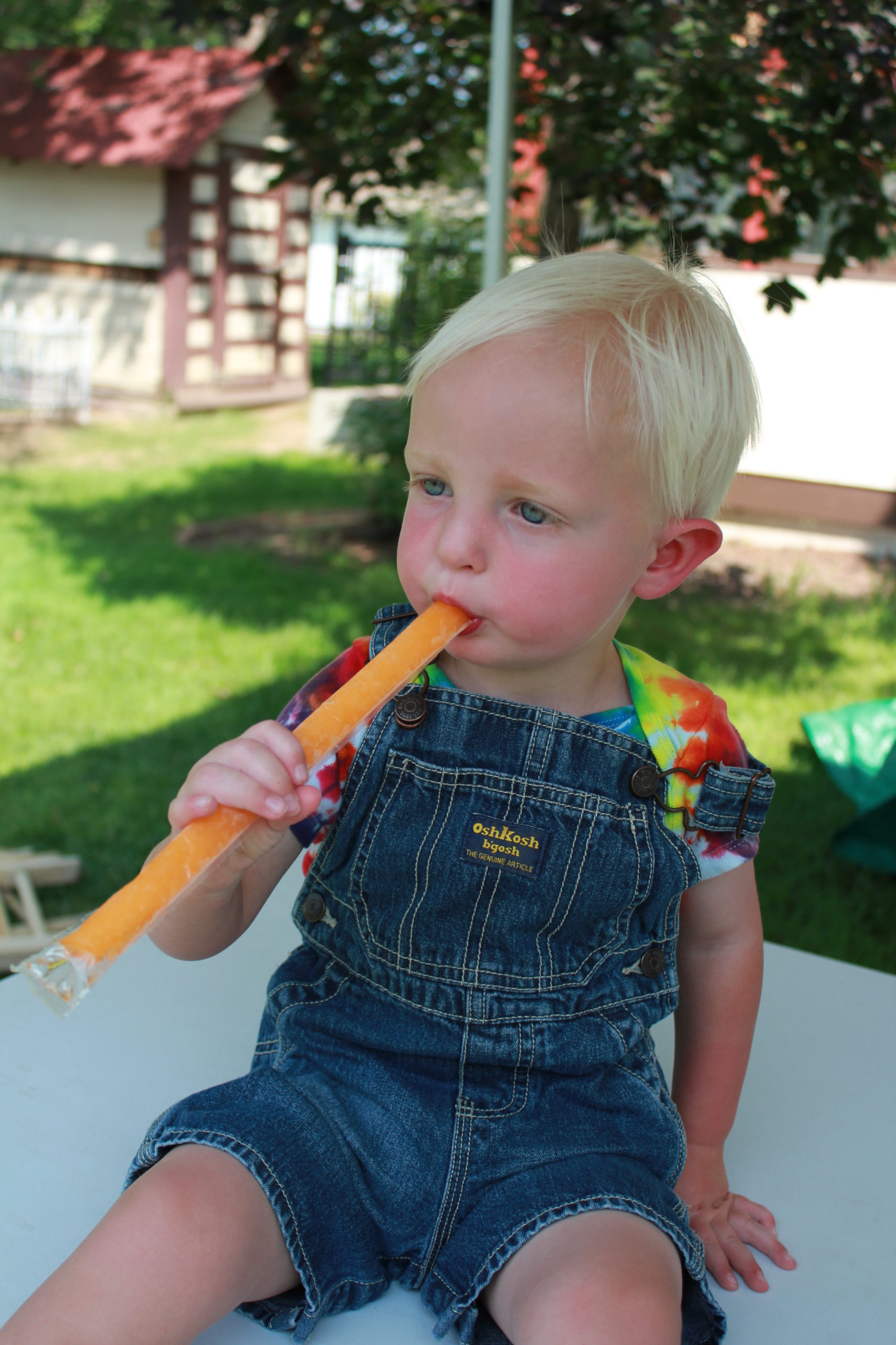 Sweet with the Heat – 2019 Pet’s ‘N’ Popsicles at Centennial Village Museum