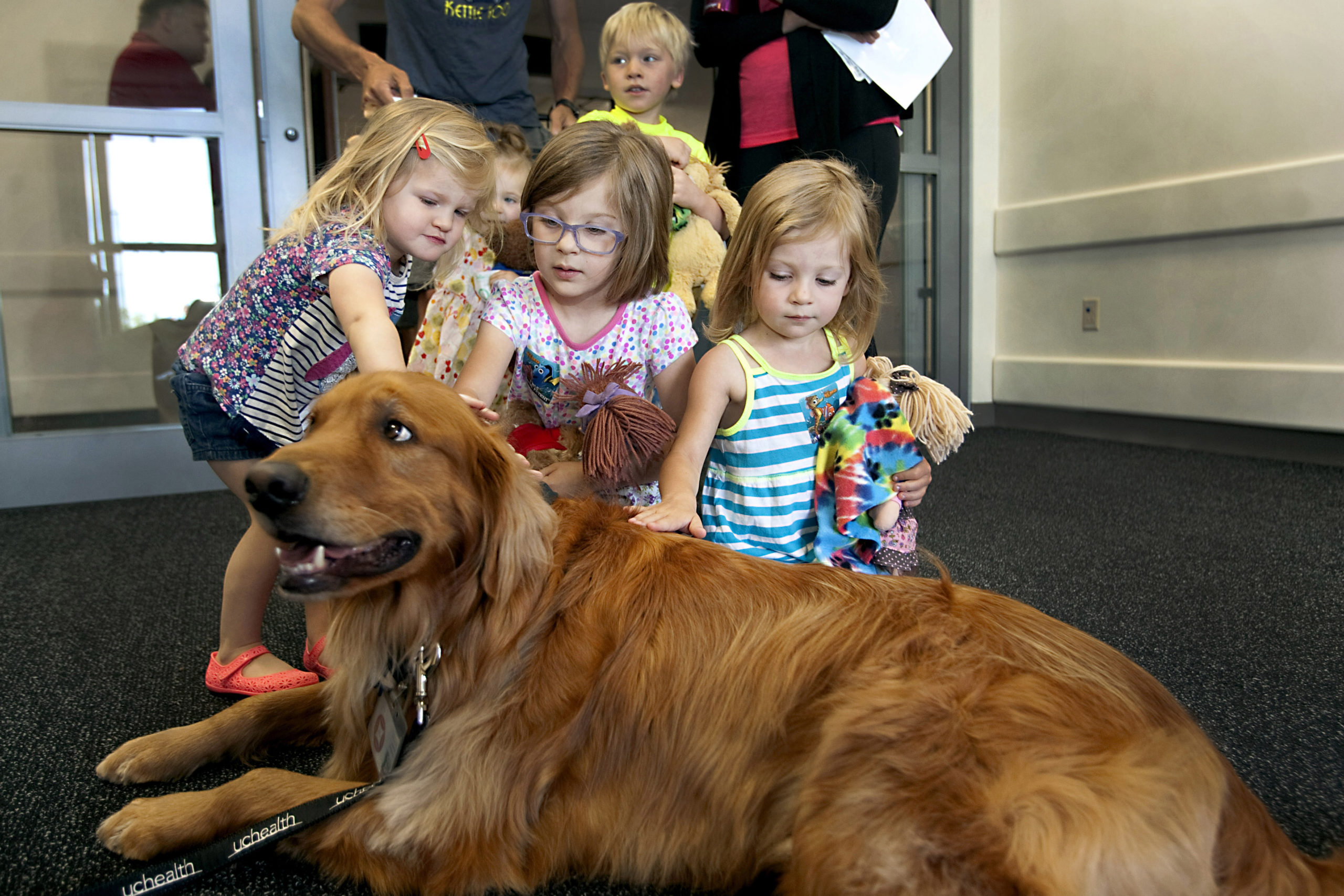 Emergency room clinicians fix hundreds of pretend teddy bear boo-boos