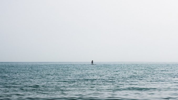 paddleboards