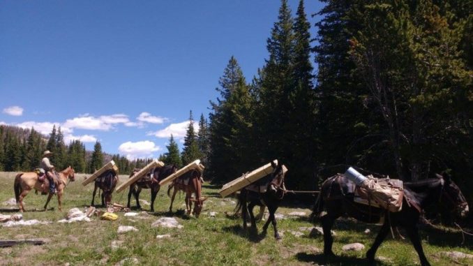 VPack-In, Horsetooth Mountain Open Space, Volunteers Needed to Preserve Horsetooth Mountain Open Space History Historic Structures on Soderberg Ranch to Undergo Restoration olunteers Needed to Preserve Horsetooth Mountain Open Space History Historic Structures on Soderberg Ranch to Undergo Restoration