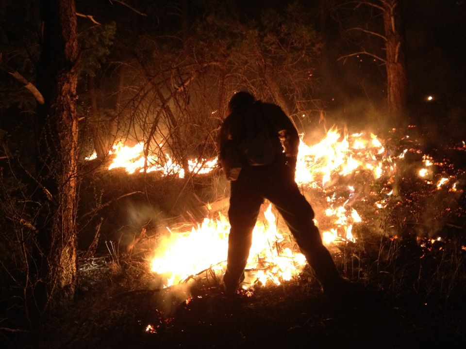 Skyline Fire in Larimer County is Contained While a Suspect is in Custody