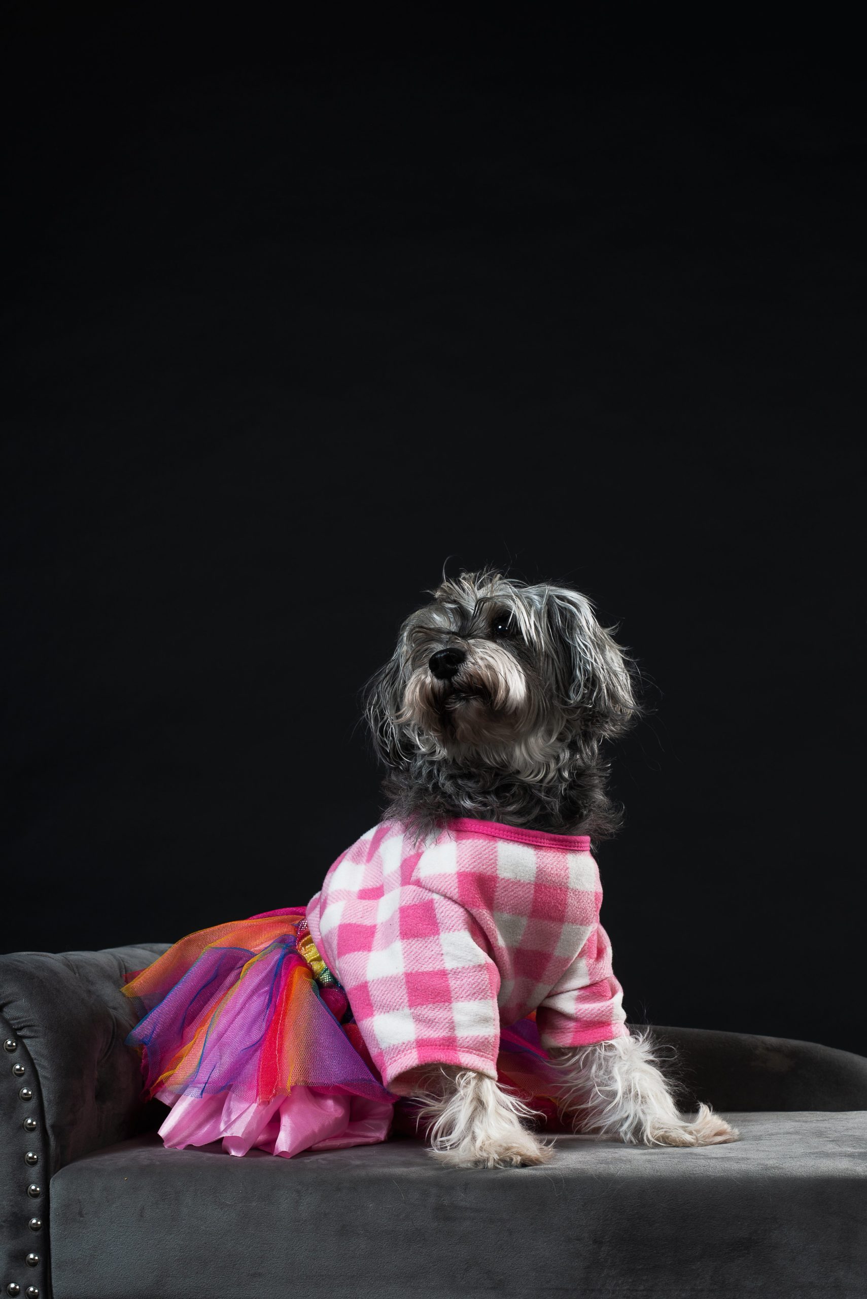 Fall Harvest Brewfest…  Bringing You Beer with Pedigree!