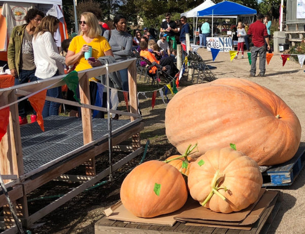 A gathering of spectators and pumpkins at the 2018 event.