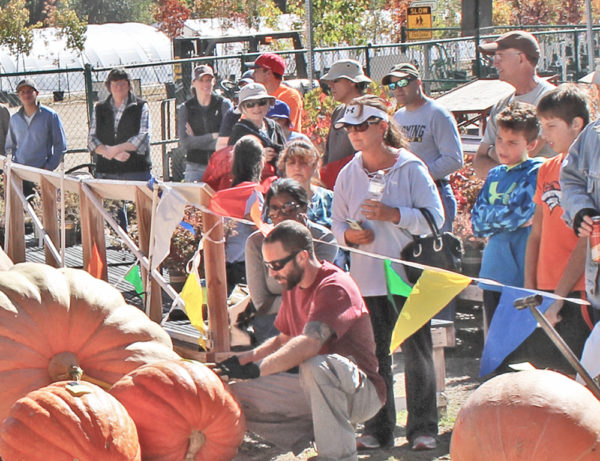 A crowd gathers around some 2018 pumpkin entries in the holding area.