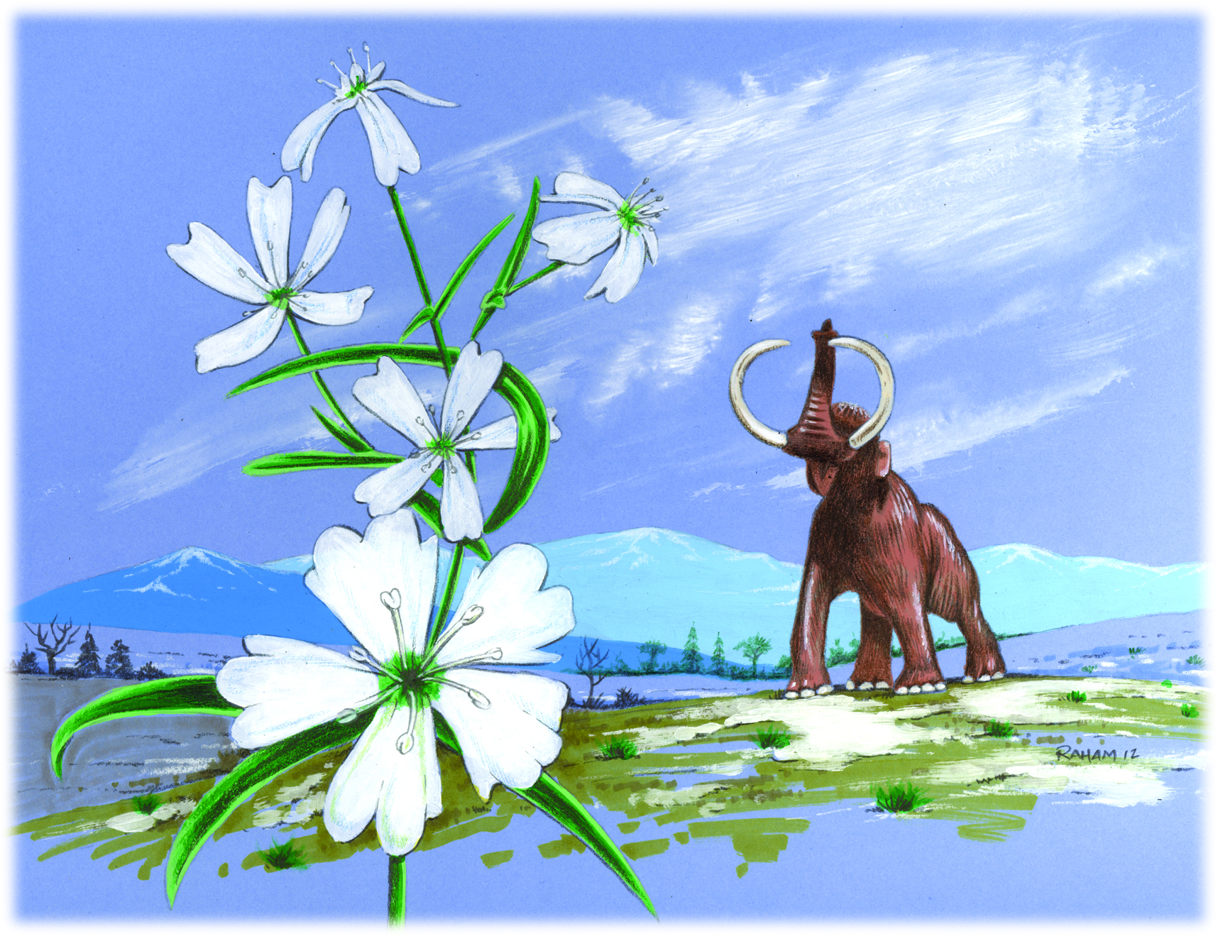The warming Arctic: promise, peril, & lost treasures