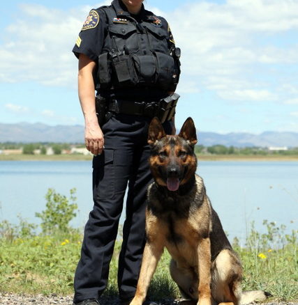 Larimer County Sheriff’s Office K9