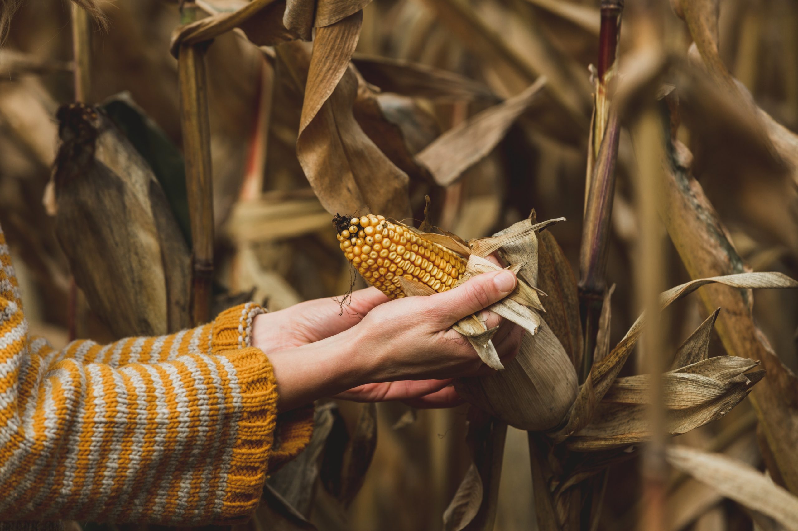 Regenerative Agriculture is not new