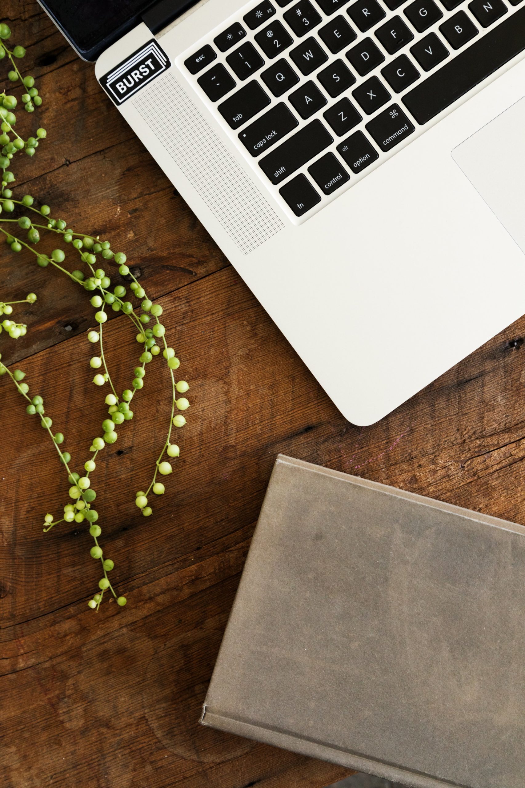 Library accommodations and availability