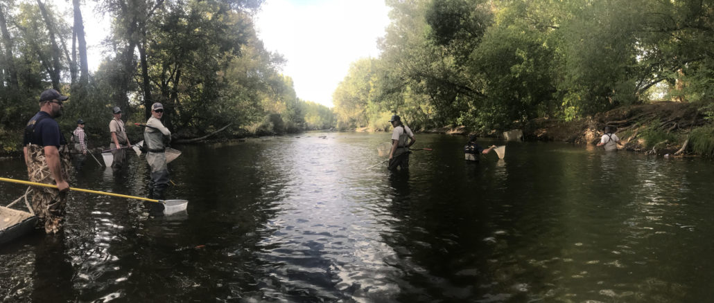 Colorado Parks and Wildlife officials on the Cache la Poudre River investigating the fish kill event in September 2018