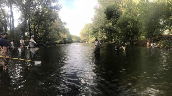 Colorado Parks and Wildlife officials on the Cache la Poudre River investigating the fish kill event in September 2018