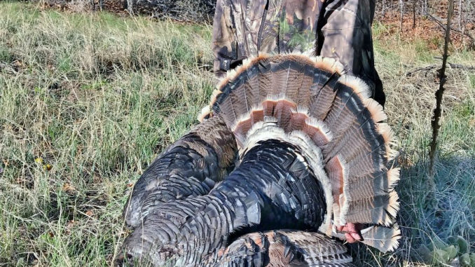 PHOTO courtesy of Colorado Parks and Wildlife Paula Linhares poses with a wild turkey she shot as a member of the 2018 class of Colorado Parks and Wildlife's Rookie Sportsperson Program.  