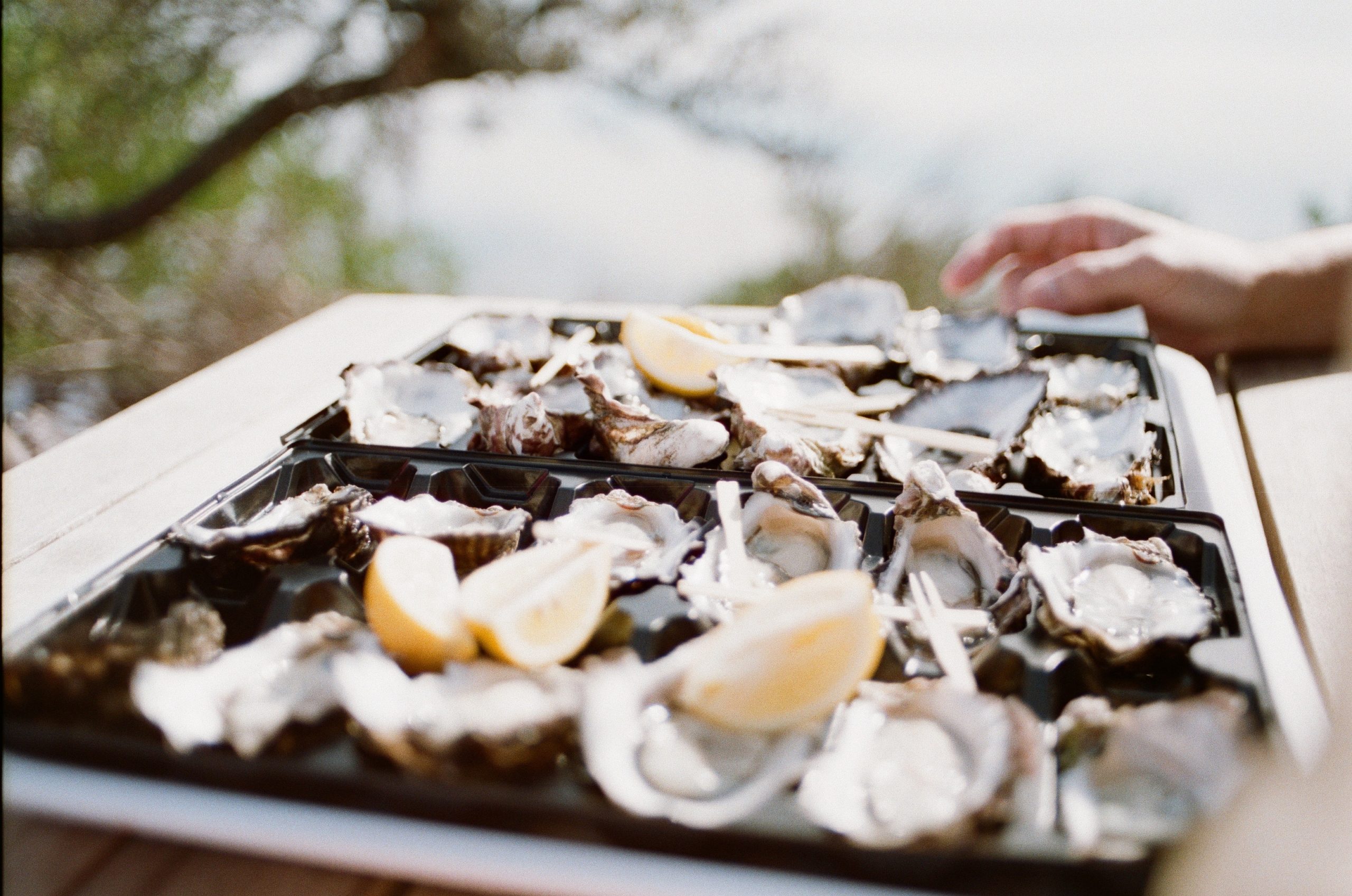 March is Oyster Month at Jax Fish House & Oyster Bar
