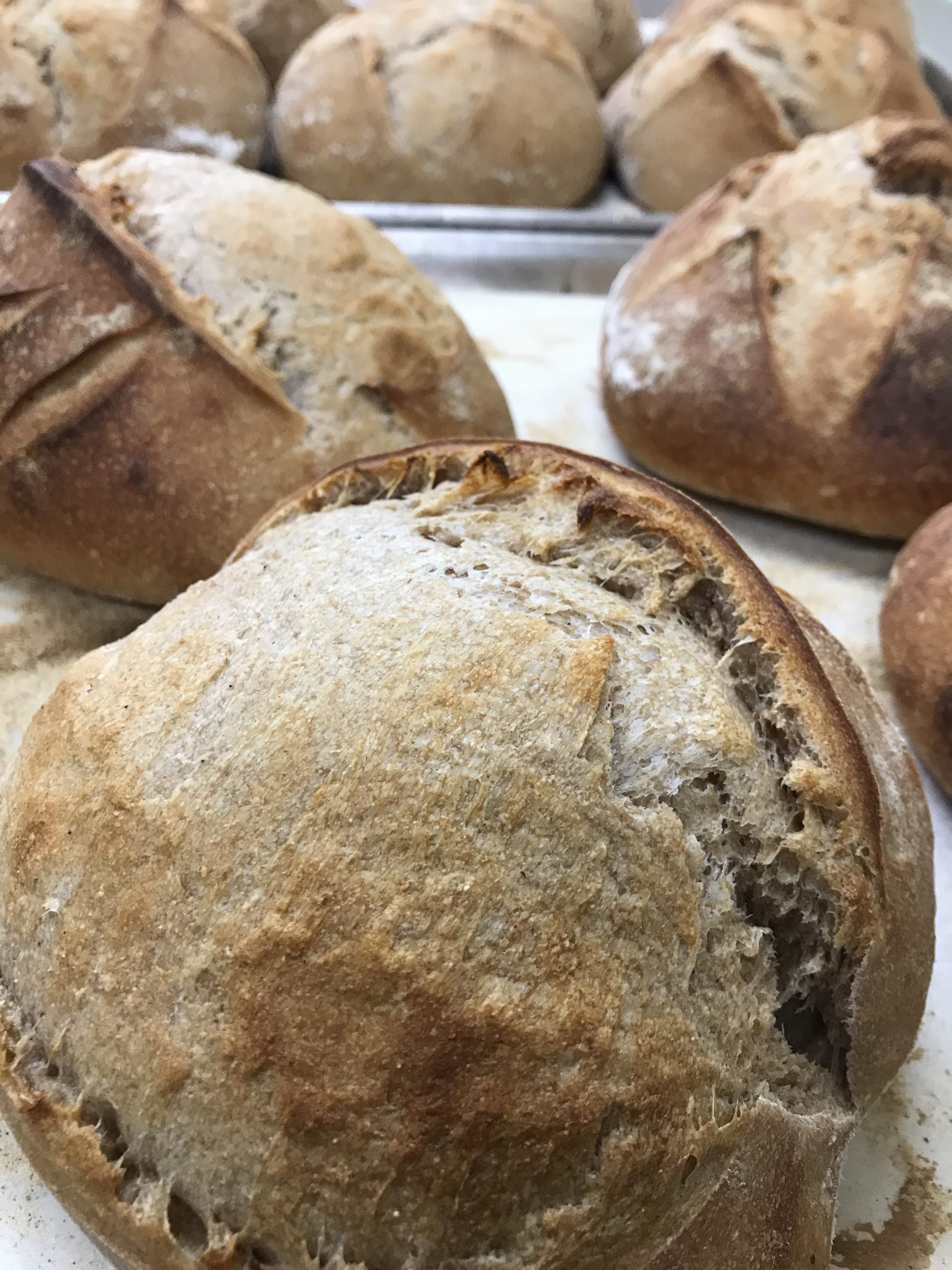 Social Isolation in Fort Collins Doesn’t Mean Sacrificing Good Food