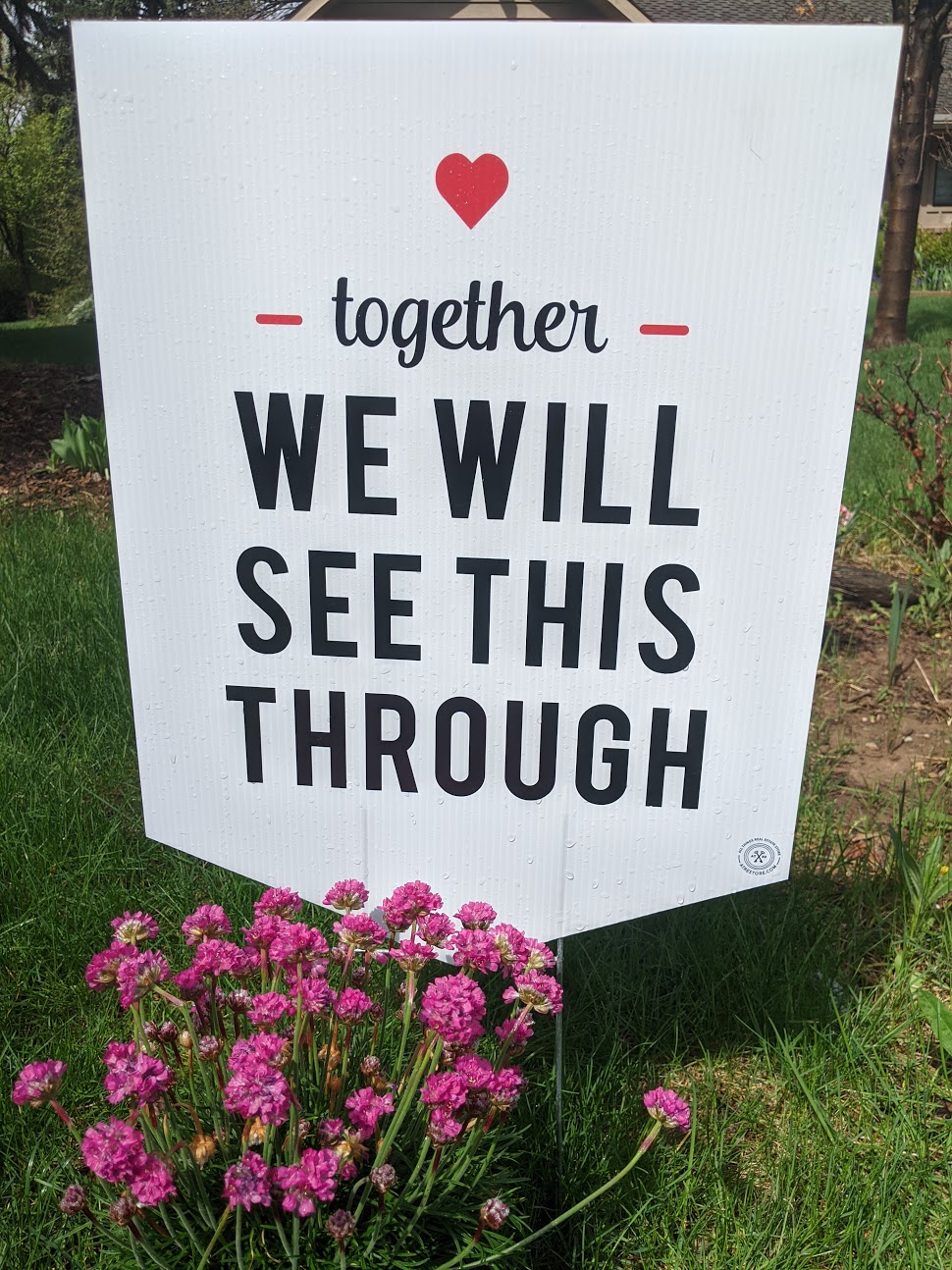 Positive Words Have Gone ‘Viral’ in Northern Colorado